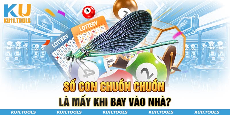 số con chuồn chuồn khi bay vào nhà